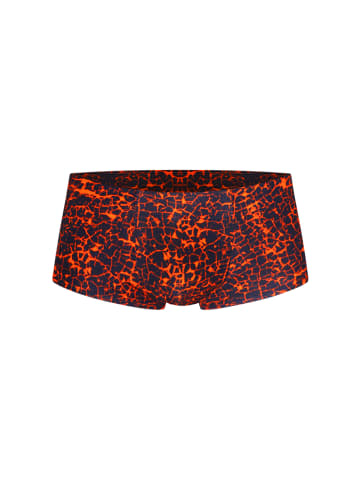 Oboy Pants U123 in schwarz/orange