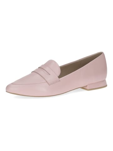 Caprice Ballerinas in Rose