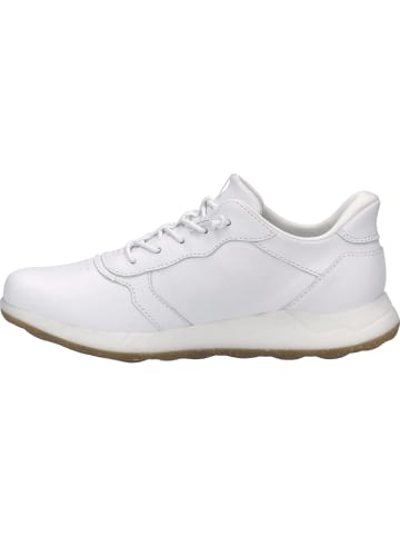 Josef Seibel Sneaker Cheryl 03 in weiß