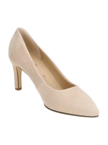 Gabor Klassische Pumps in Rosa