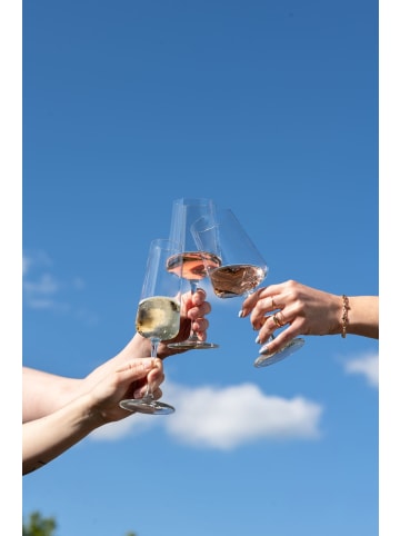 Schott Zwiesel 12er Set Wein- & Sektgläser MioVino in transparent