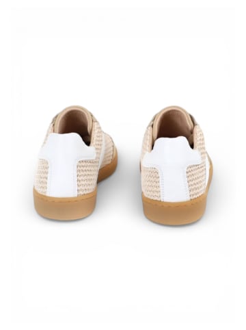 Apple of Eden Sneaker SAPHIRA in BEGE