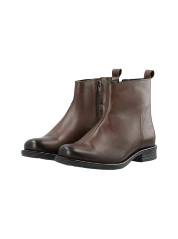 Cashott Stiefeletten CASEMMA in Dark Brown