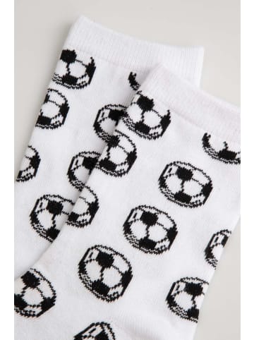 Coccodrillo Socken in bunt