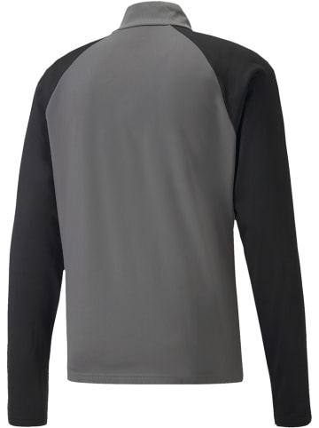 Puma Pullover "TeamLIGA 1/4 Zip Top" in Grau