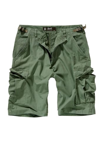 Brandit Shorts in oliv
