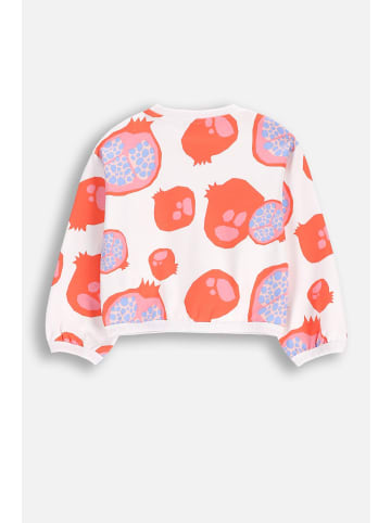 Coccodrillo Sweatshirt in weiß