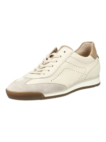 Gabor Sneaker in Weiß/Beige