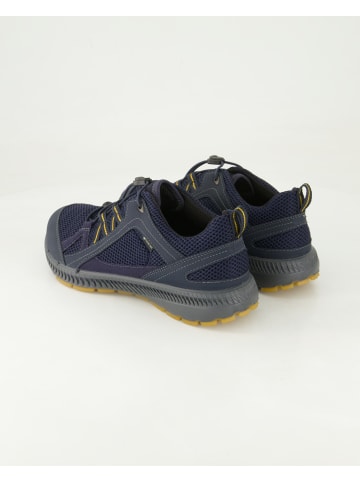 Ecco Sneaker low in Blau