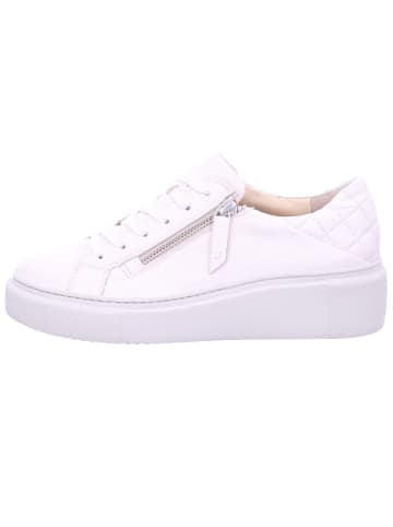 Paul Green Damen- Schnürschuhe  in weiss