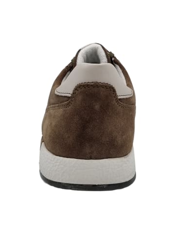 Sioux Sportliche Schnürschuhe in Oliv