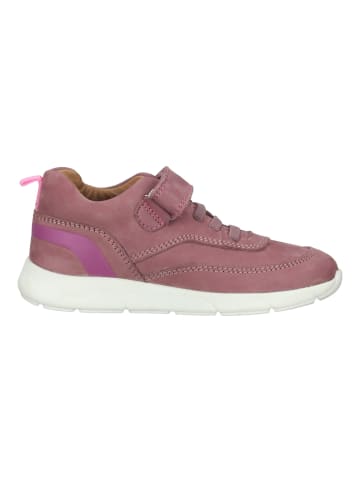 Richter Shoes Sneaker in Rosa