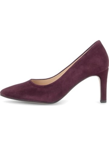 Gabor Pump in bordeaux