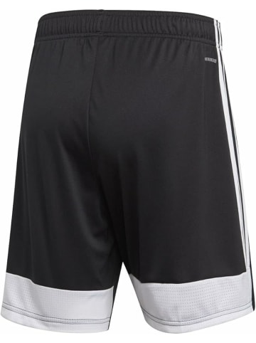 adidas Shorts für Jungen in uni