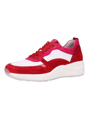 Gabor Sneaker Rot