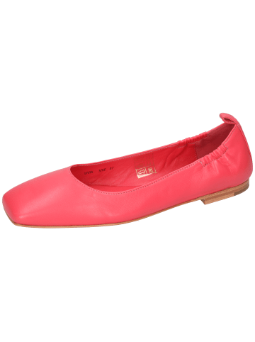 MELVIN & HAMILTON Ballerina Livia 3 in Rosa