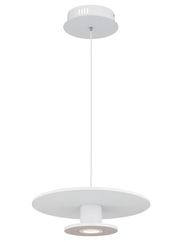 Globo lighting Hängeleuchte "CARTER" in white