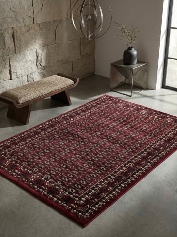 KADIMA DESIGN Teppich Kurzflor Waschbar Orientalisch TANNHEIM Strapazierfähig OEKO-TEX