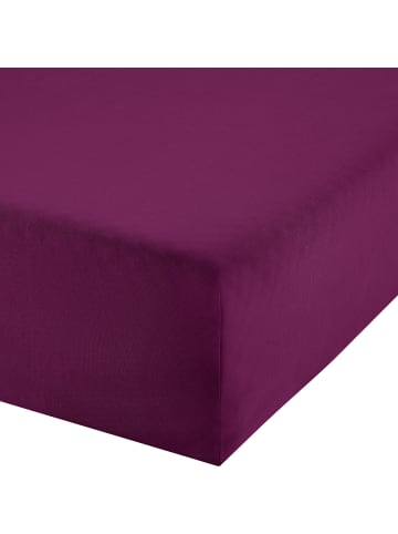 Erwin Müller Boxspringbett-Spannbettlaken Freising in aubergine