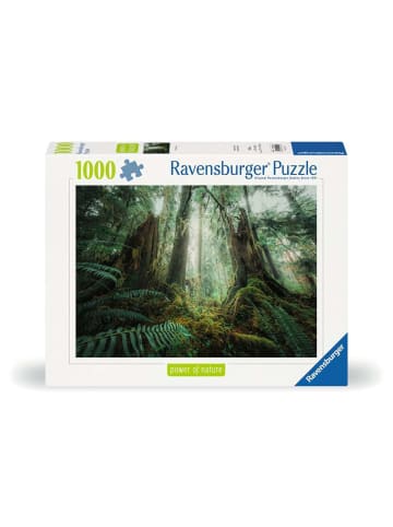 Ravensburger Ravensburger Erwachsenenpuzzle 1000 Teile - Faszinierender Wald in bunt