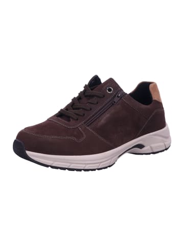 Solidus Schnürschuhe Keanu RANCH/VEL/BINGO darkbrown mult in Braun