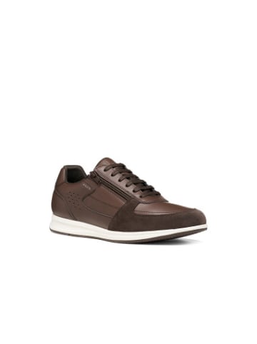 Geox Sneakers U in bunt
