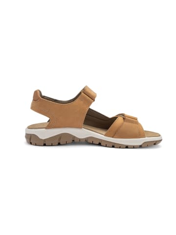 ara Trekkingsandalen in Braun