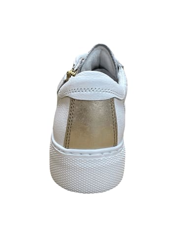 Gabor Comfort Sportliche Schnürschuhe in Weiß