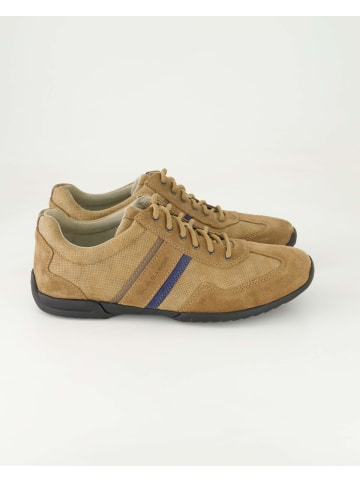 Pius Gabor Sneaker low in Braun