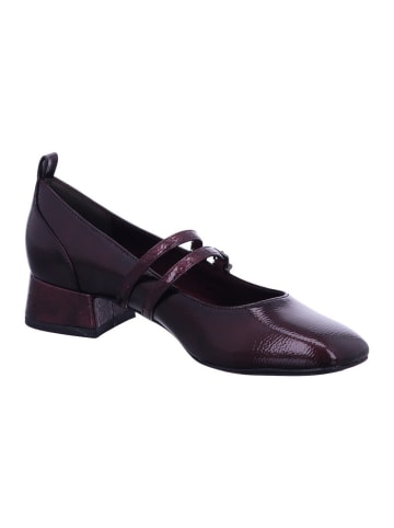 Tamaris Pumps in MERLOT COMB