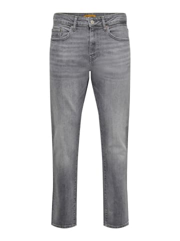 Only&Sons Jeans ONSWEFT REG. JAX regular/straight in Grau