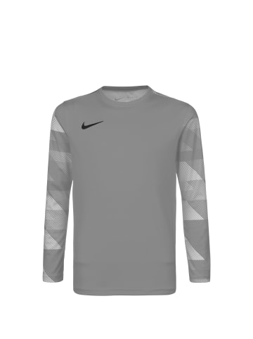 Nike Performance Torwarttrikot Park IV in grau / hellgrau