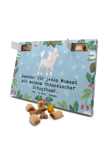 Mr. & Mrs. Panda Adventskalender für Hunde Chinesischer Schopfhu... in Eisblau
