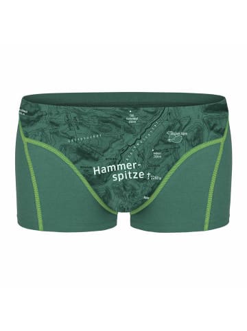 EIN SCHÖNER FLECK ERDE Boxershort 1er Pack in Hammerspitze (Eukalyptus)