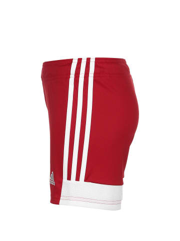 adidas Performance Trainingsshorts Tastigo 19 in rot / weiß