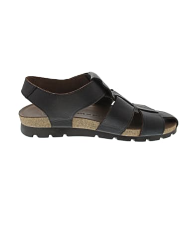 PANAMA JACK Sandale Braun