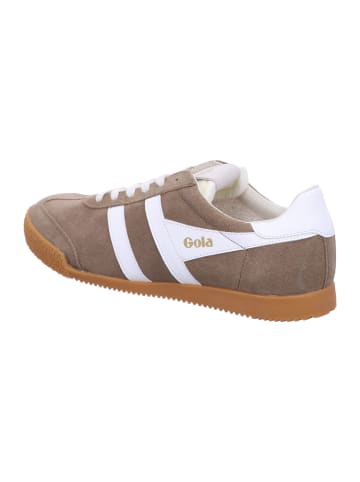 Gola Schnürschuhe Elan in Braun