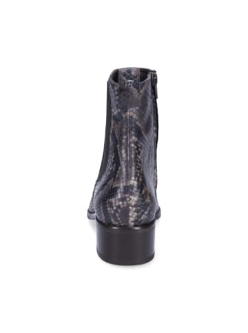 Paul Green Chelsea Stiefelette in Python