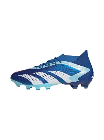 adidas Performance Fußballschuh Predator Accuracy.1 in blau / weiß