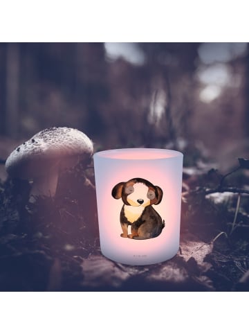 Mr. & Mrs. Panda Windlicht aus Glas Hund Entspannen ohne Spruch in Transparent