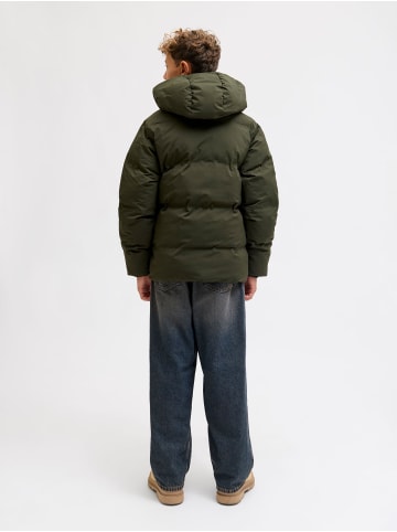 JACK & JONES Junior Steppjacke in Rosin