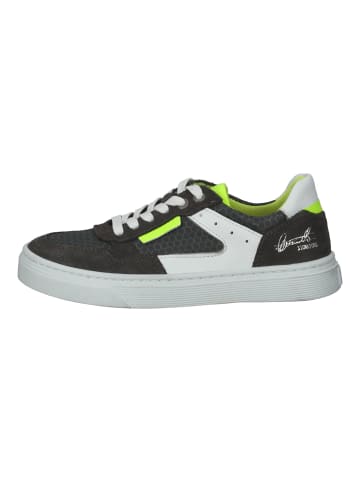 Bullboxer Sneaker in Multi