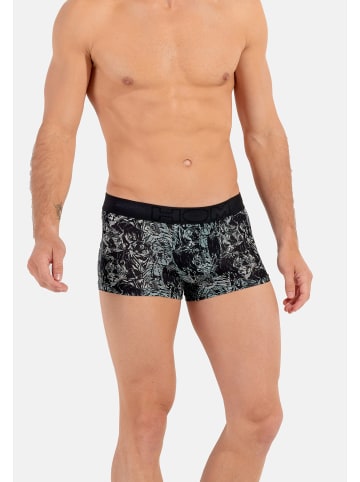 HOM Retro Short / Pant Tigers in Grau