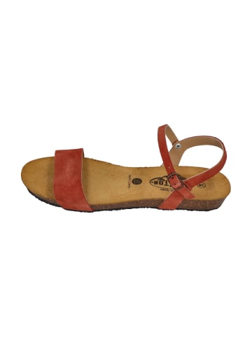 Plakton Sandalen FRAN AMBO 405725 in rot