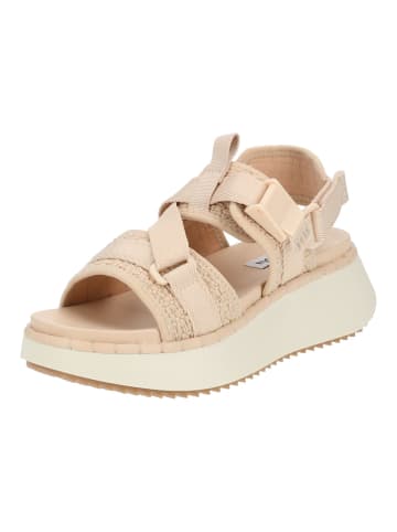 Steve Madden Sandalen in Natural