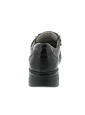 WALDLÄUFER H-Gabriele Schnürer Schwarz