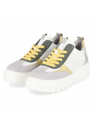 Gabor Schnürhalbschuh in multicolor