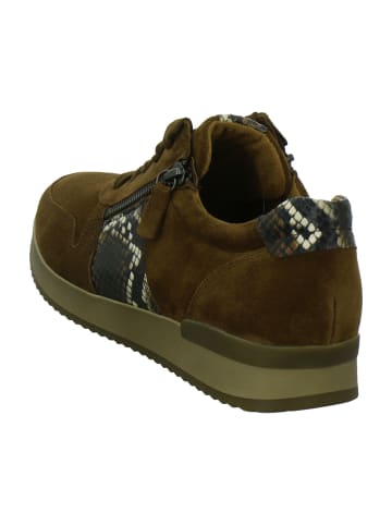 Gabor Komfort Schnürschuhe in Braun