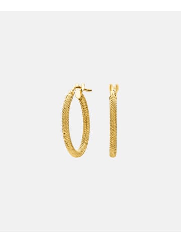 Vanlere Creolen aus 375 Gelbgold