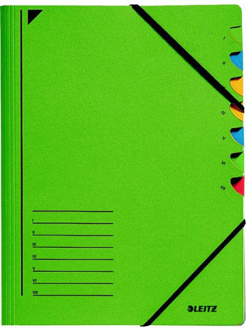 Leitz Ordnungsmappe A4 7 Fächer Colorspankarton grün